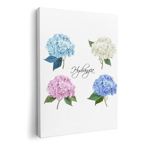 A[gpl G G  IׂTCY 420×594 mm A2 _  ʐ^ tHg CeA  016326 @~J@