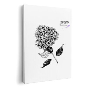 A[gpl G G  IׂTCY 420×594 mm A2 _  ʐ^ tHg CeA  016330 P@~J@mN