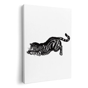 A[gpl G G  IׂTCY 420×594 mm A2 _  ʐ^ tHg CeA  017485 L@A@z[