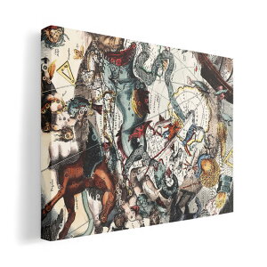 A[gpl G G  IׂTCY 420×594 mm A2 _  ʐ^ tHg CeA  018303 G En} nV