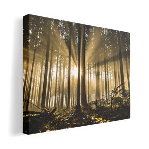 A[gpl G G  IׂTCY 420×594 mm A2 _  ʐ^ tHg CeA  018321 X ʐ^