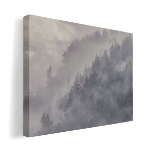 A[gpl G G  IׂTCY 420×594 mm A2 _  ʐ^ tHg CeA  018323 X ʐ^