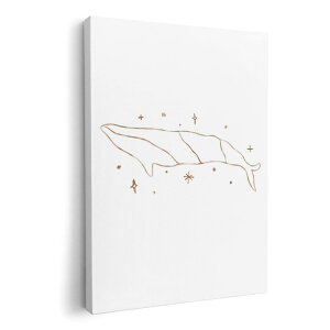 A[gpl G G  IׂTCY 420×594 mm A2 _  ʐ^ tHg CeA  019919 C̐  킢