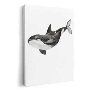 A[gpl G G  IׂTCY 420×594 mm A2 _  ʐ^ tHg CeA  019925 C̐ V`