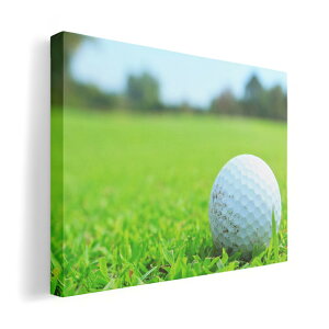 A[gpl G G  IׂTCY 420×297 mm A3 _  ʐ^ tHg CeA  000255 St@Ő@X|[c