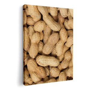 A[gpl G G  IׂTCY 420×297 mm A3 _  ʐ^ tHg CeA  000276 s[ic@Ԑ@Hו