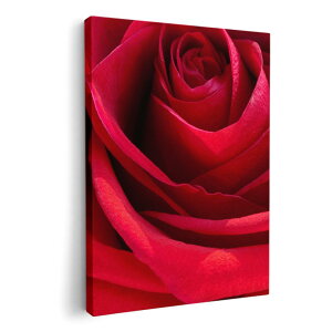 �A�[�g�p�l�� �G �G�� ���� �I�ׂ�T�C�Y 420×297 mm A3 ���_�� ���� �ʐ^ �t�H�g �C���e���A ������� 000825 �K�N�@��