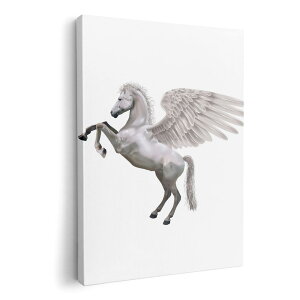 A[gpl G G  IׂTCY 420×297 mm A3 _  ʐ^ tHg CeA  000880 yKTX@n