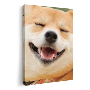 A[gpl G G  IׂTCY 420×297 mm A3 _  ʐ^ tHg CeA  000926 @Č