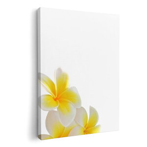 A[gpl G G  IׂTCY 420×297 mm A3 _  ʐ^ tHg CeA  001027 ԁ@vA