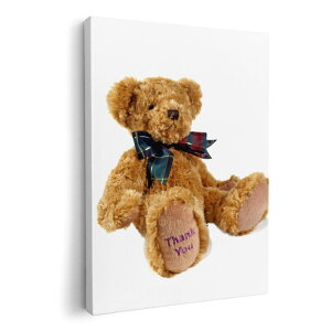 A[gpl G G  IׂTCY 420×297 mm A3 _  ʐ^ tHg CeA  001105 eBfBxA@N}