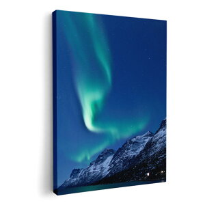 A[gpl G G  IׂTCY 420×297 mm A3 _  ʐ^ tHg CeA  002450 I[@iF@i