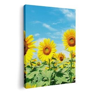 A[gpl G G  IׂTCY 420×297 mm A3 _  ʐ^ tHg CeA  002501 ԁ@Ђ܂@ʐ^