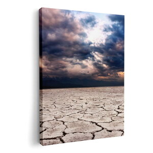 A[gpl G G  IׂTCY 420×297 mm A3 _  ʐ^ tHg CeA  002578 iF@i@ʐ^