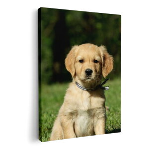 A[gpl G G  IׂTCY 420×297 mm A3 _  ʐ^ tHg CeA  002580 @@ʐ^