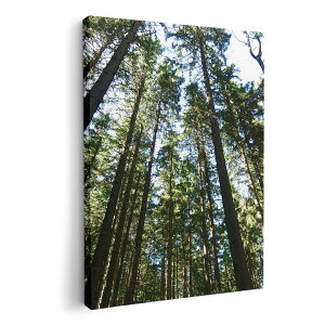 A[gpl G G  IׂTCY 420×297 mm A3 _  ʐ^ tHg CeA  002581 iF@i@ʐ^