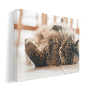 A[gpl G G  IׂTCY 420×297 mm A3 _  ʐ^ tHg CeA  002601 L@@ʐ^