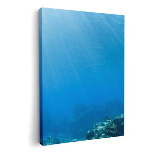 A[gpl G G  IׂTCY 420×297 mm A3 _  ʐ^ tHg CeA  002834 C@ʐ^