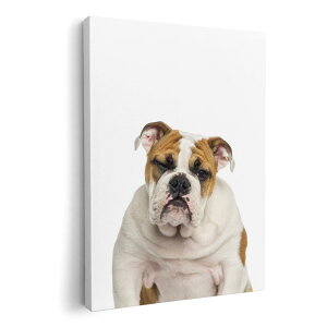 A[gpl G G  IׂTCY 420×297 mm A3 _  ʐ^ tHg CeA  002883 @@ʐ^