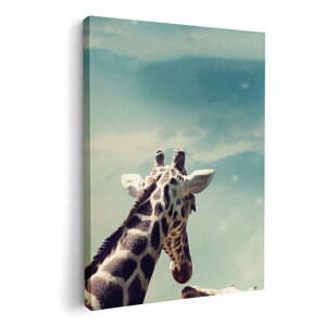 A[gpl G G  IׂTCY 420×297 mm A3 _  ʐ^ tHg CeA  002922 @ʐ^