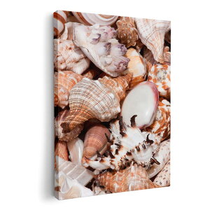 A[gpl G G  IׂTCY 420×297 mm A3 _  ʐ^ tHg CeA  002925 C@Lk@ʐ^