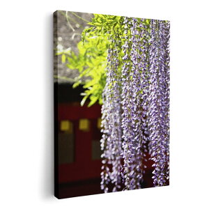 A[gpl G G  IׂTCY 420×297 mm A3 _  ʐ^ tHg CeA  003257 ԁ@ʐ^@iF@i