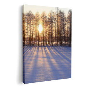 A[gpl G G  IׂTCY 420×297 mm A3 _  ʐ^ tHg CeA  003272 ʐ^@iF@i