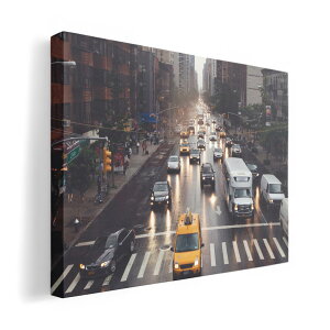 A[gpl G G  IׂTCY 420×297 mm A3 _  ʐ^ tHg CeA  023075 ss@i@ʐ^@