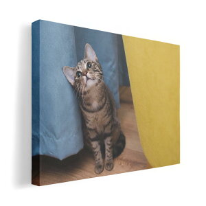 A[gpl G G  IׂTCY 420×297 mm A3 _  ʐ^ tHg CeA  023082 L@˂@@ʐ^