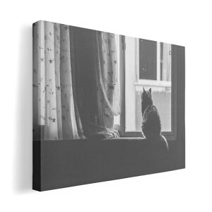 A[gpl G G  IׂTCY 420×297 mm A3 _  ʐ^ tHg CeA  023086 L@˂@ʐ^@mN