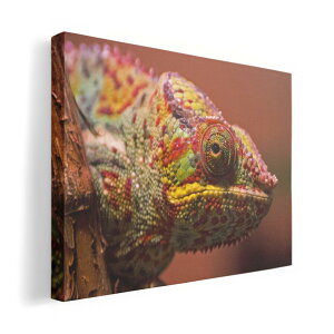 A[gpl G G  IׂTCY 420×297 mm A3 _  ʐ^ tHg CeA  023101 COAi@ʐ^@Jt