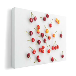 A[gpl G G  IׂTCY 420×297 mm A3 _  ʐ^ tHg CeA  023104 ځ@ʐ^@t[c@ʕ