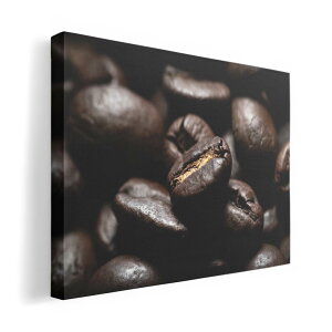 A[gpl G G  IׂTCY 420×297 mm A3 _  ʐ^ tHg CeA  023147 R[q[@ʐ^