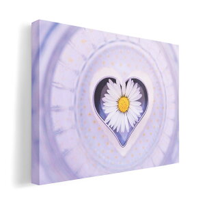 A[gpl G G  IׂTCY 420×297 mm A3 _  ʐ^ tHg CeA  023188 ԁ@t[@n[g