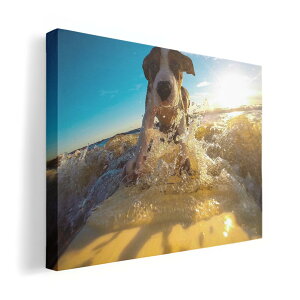 A[gpl G G  IׂTCY 420×297 mm A3 _  ʐ^ tHg CeA  023217 @T[tB@C@ʐ^