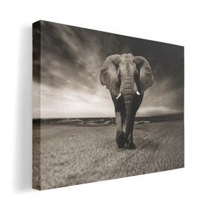 �A�[�g�p�l�� �G �G�� ���� �I�ׂ�T�C�Y 420×297 mm A3 ���_�� ���� �ʐ^ �t�H�g �C���e���A ������� 023246 �]�E�@�����@�A�j�}��