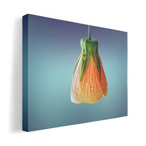 A[gpl G G  IׂTCY 420×297 mm A3 _  ʐ^ tHg CeA  023293 ԁ@t[