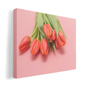 A[gpl G G  IׂTCY 420×297 mm A3 _  ʐ^ tHg CeA  023309 ԁ@t[@`[bv@ʐ^