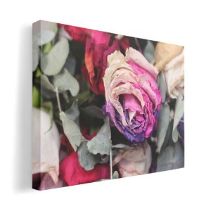 A[gpl G G  IׂTCY 420×297 mm A3 _  ʐ^ tHg CeA  023312 ԁ@t[@KN@C{[