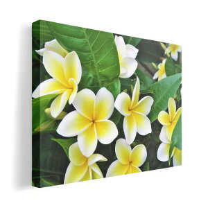 A[gpl G G  IׂTCY 420×297 mm A3 _  ʐ^ tHg CeA  023320 ԁ@t[@vA