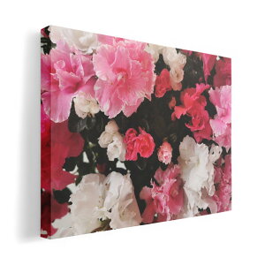 A[gpl G G  IׂTCY 420×297 mm A3 _  ʐ^ tHg CeA  023336 ԁ@t[@J[l[V@ʐ^