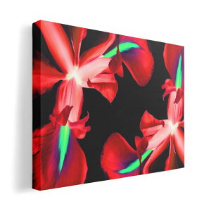 A[gpl G G  IׂTCY 420×297 mm A3 _  ʐ^ tHg CeA  023340 ԁ@t[