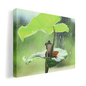 A[gpl G G  IׂTCY 420×297 mm A3 _  ʐ^ tHg CeA  023378 JG@@J