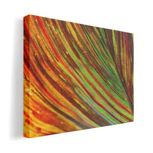 A[gpl G G  IׂTCY 420×297 mm A3 _  ʐ^ tHg CeA  023502 tρ@A@