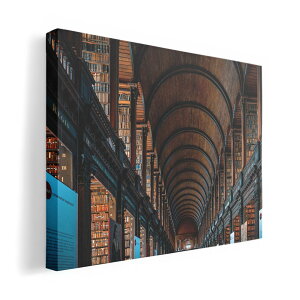 A[gpl G G  IׂTCY 420×297 mm A3 _  ʐ^ tHg CeA  023515 z@{I@ʐ^