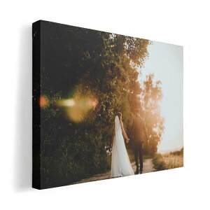 A[gpl G G  IׂTCY 420×297 mm A3 _  ʐ^ tHg CeA  023534 EGfBO@Jbv@ʐ^