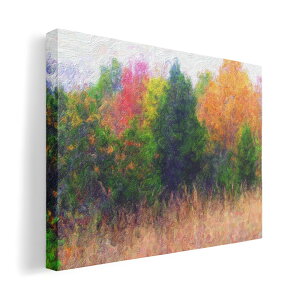 A[gpl G G  IׂTCY 420×297 mm A3 _  ʐ^ tHg CeA  023639 G@X