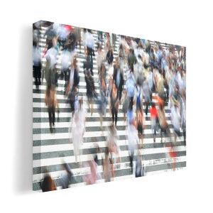 A[gpl G G  IׂTCY 420×297 mm A3 _  ʐ^ tHg CeA  023658 f@ʐ^@i@l