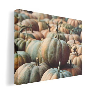 A[gpl G G  IׂTCY 420×297 mm A3 _  ʐ^ tHg CeA  023702 ڂ@nEB@ʐ^