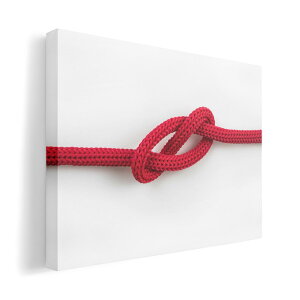 A[gpl G G  IׂTCY 420×297 mm A3 _  ʐ^ tHg CeA  023735 [v@